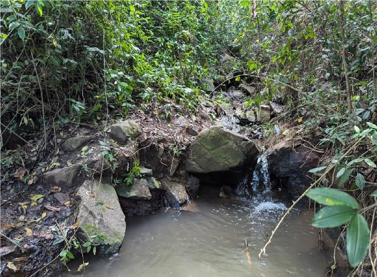 Cultural Heritage of Kooki
